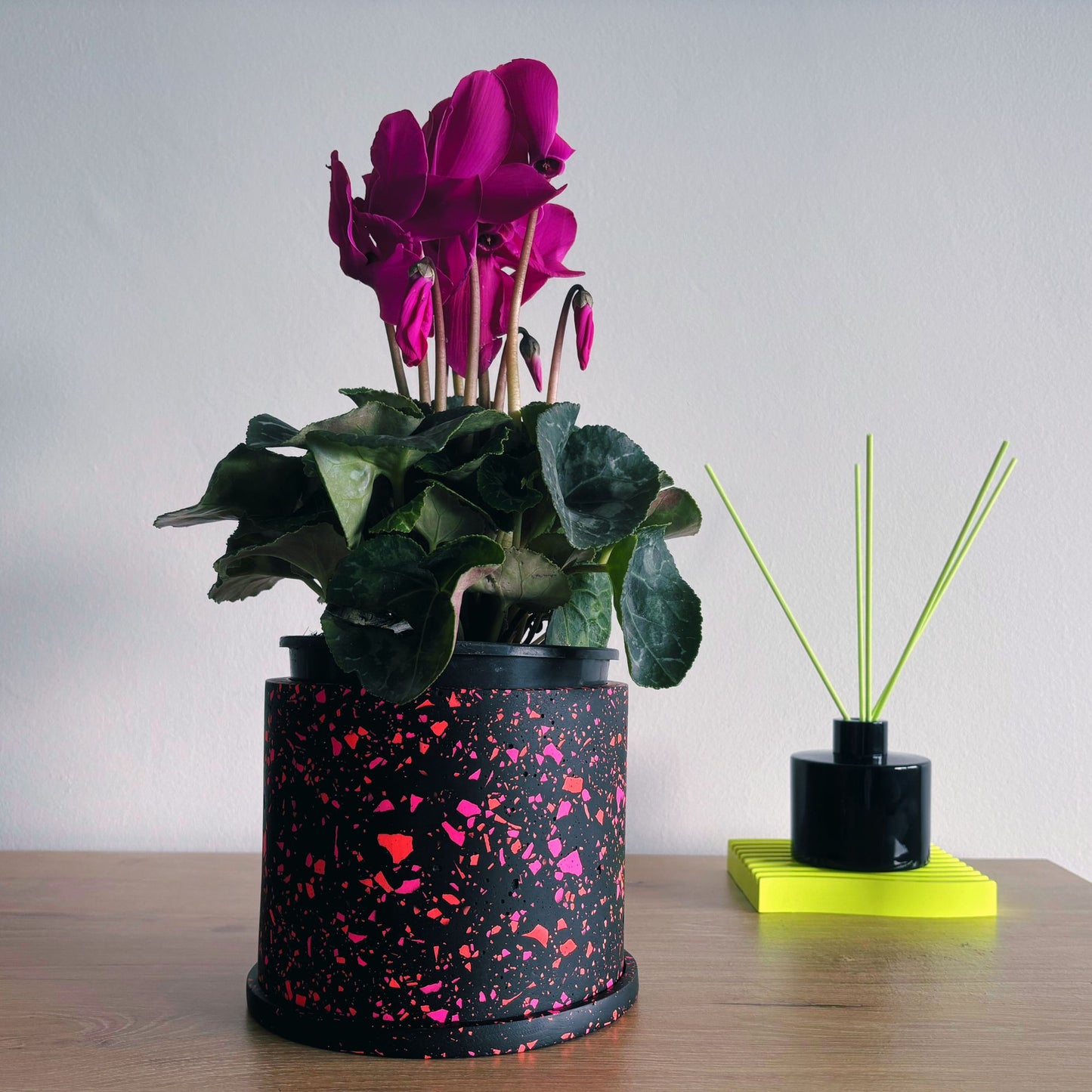 Potted plant with pink flowers and a black pot with pink speckles on a wooden surface.