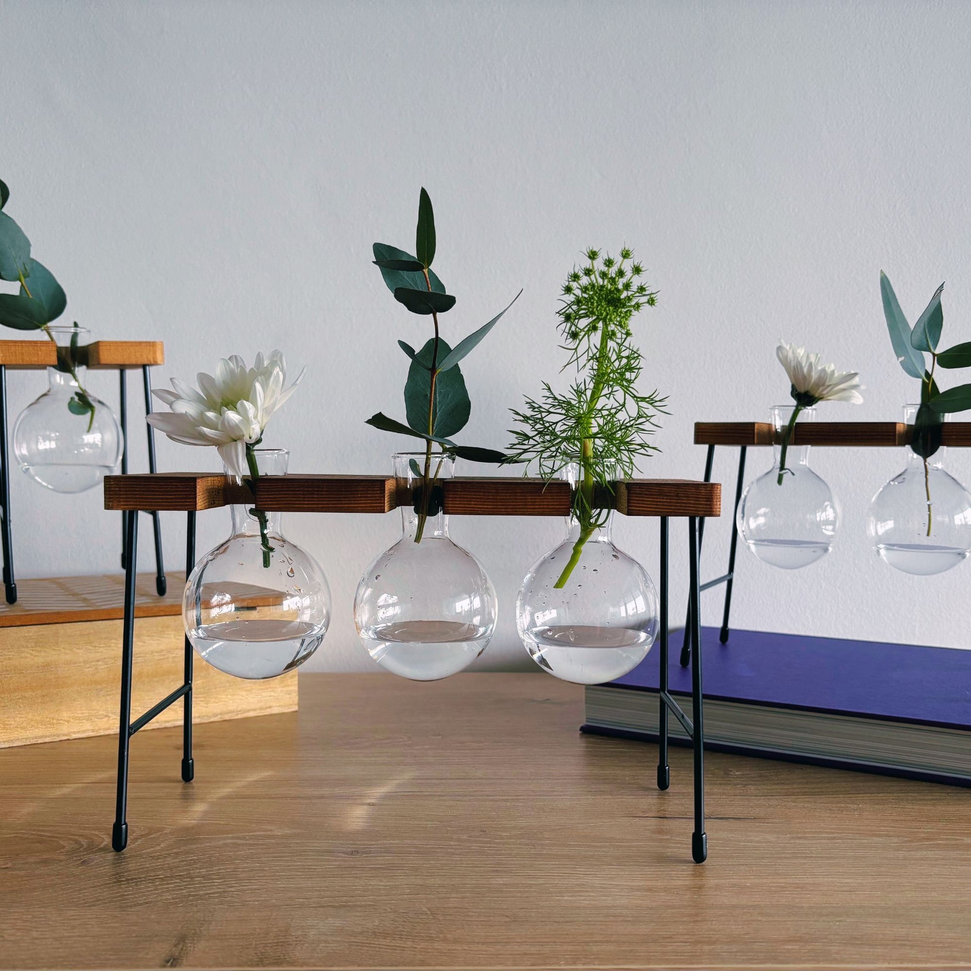 Hanging glass vases with plants on a wooden stand against a white wall.